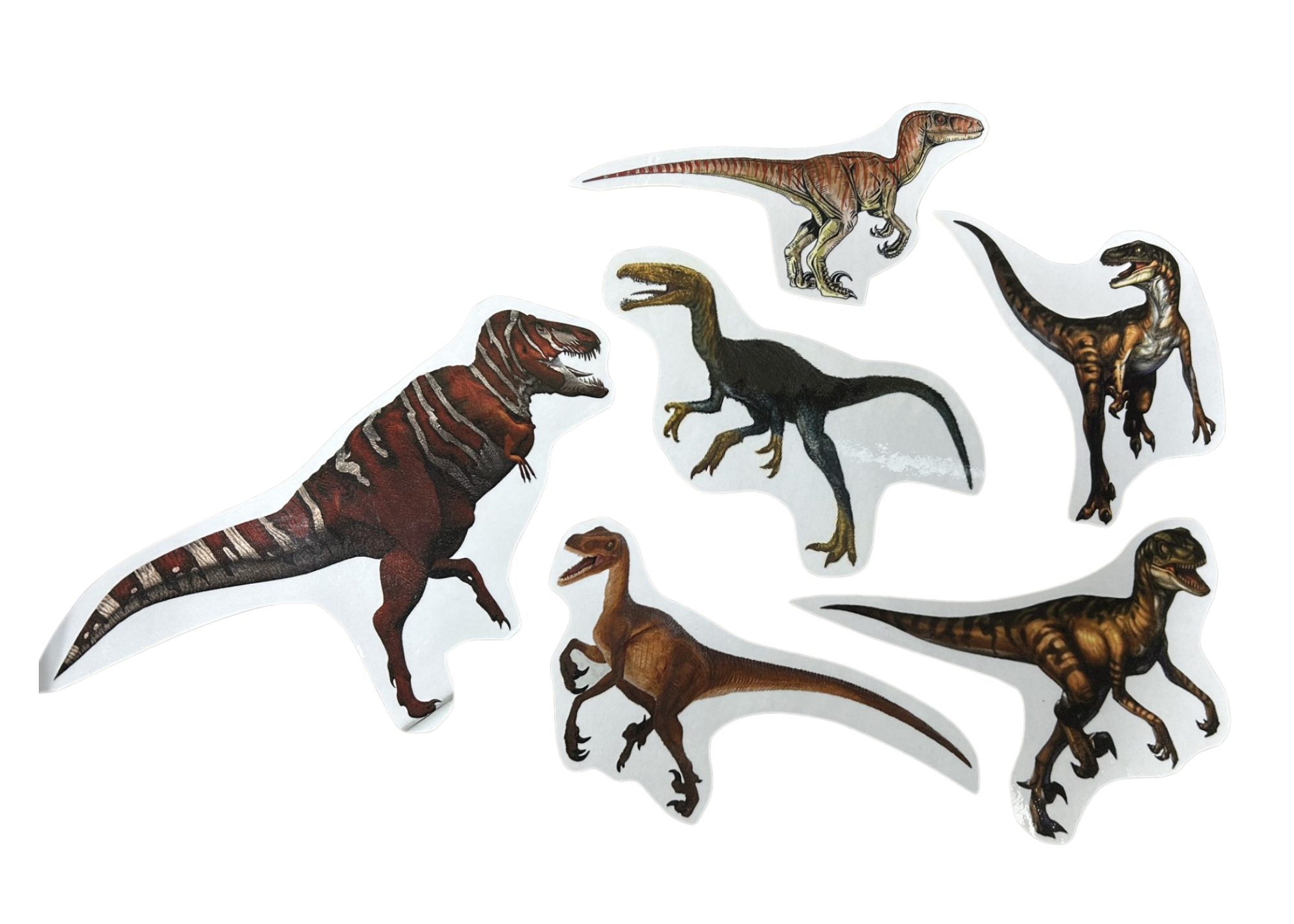 Jan. 2026 Dino Story Time